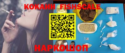молекула духа Партизанск