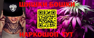 молекула духа Партизанск