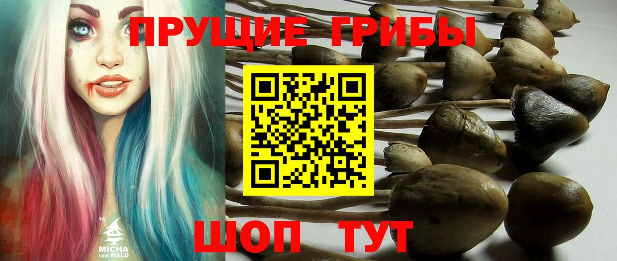 Стрежевой  Галлюциногенные грибы Cubensis  Вход с VPN 